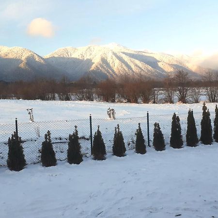 Villa Letizia Near The Pirin Golf Resort Bansko Buitenkant foto
